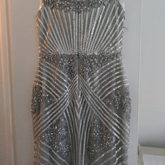 Mother Of The Bride Exquisite silver gown. - Picture 4 of 16